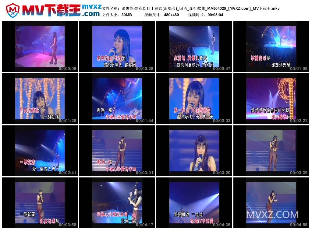 张惠妹-别在伤口上洒盐(演唱会)_国语_流行歌曲_MA504025